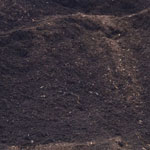 fine-bark-sm
